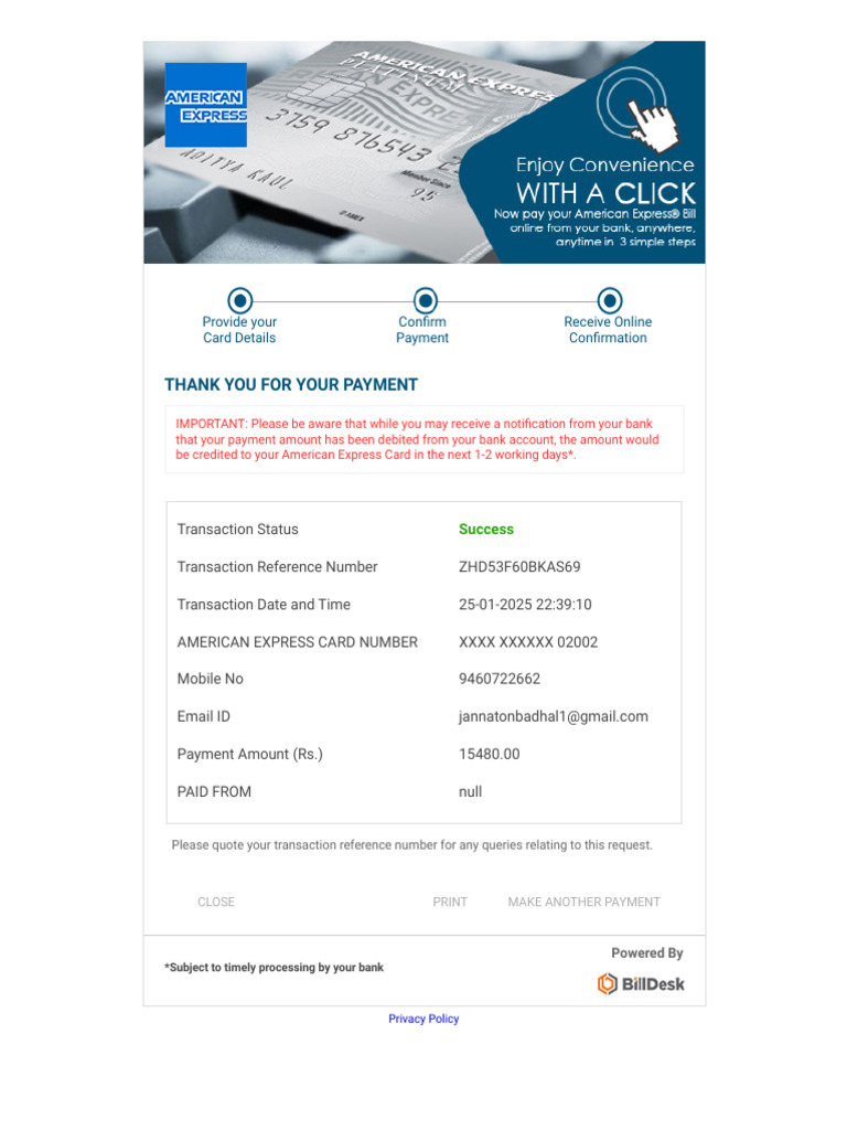 American Express Cardnet | PDF