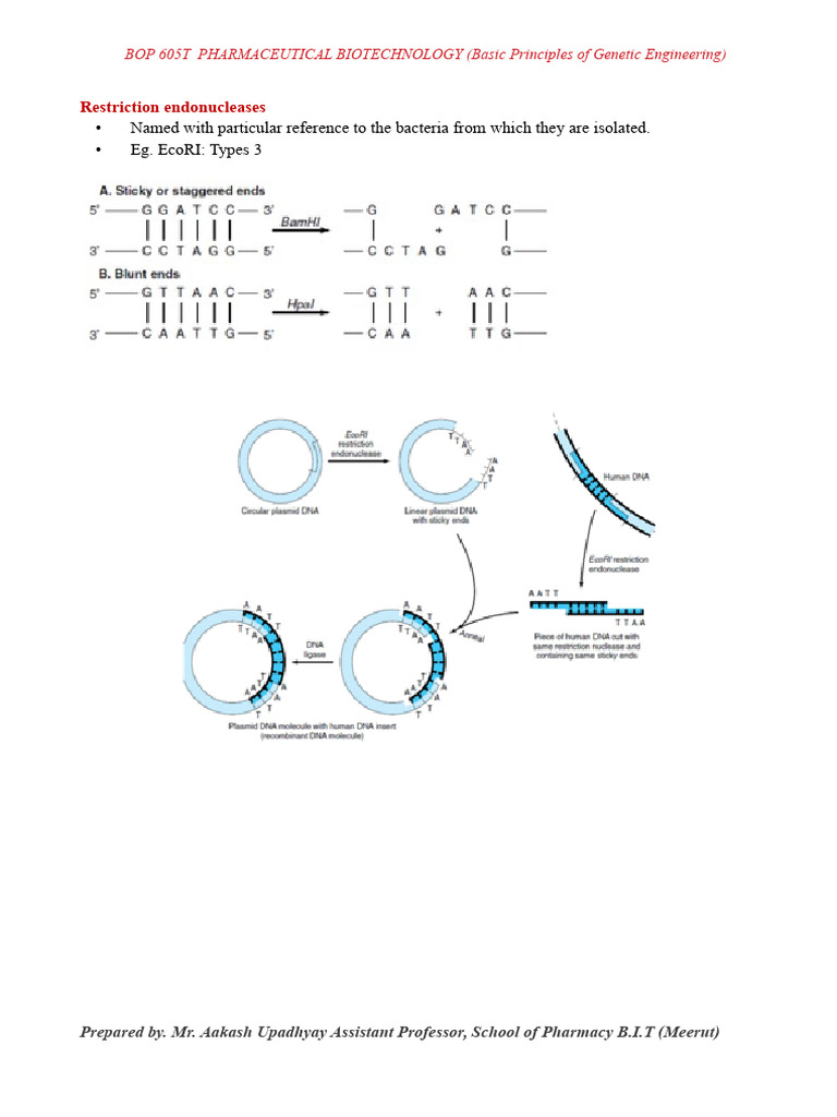 Genetic Engineering in Pharmaceutical Biotechnology | PDF | Recombinant ...