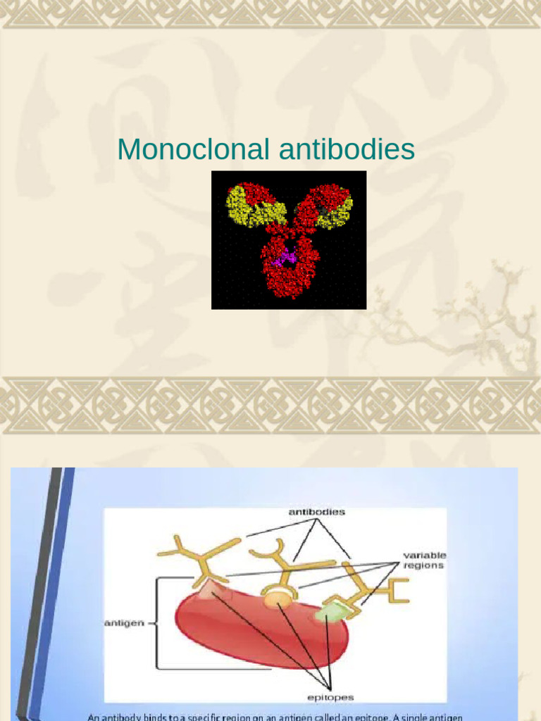 Monoclonal Antibodies Production Guide | PDF | Monoclonal Antibody ...