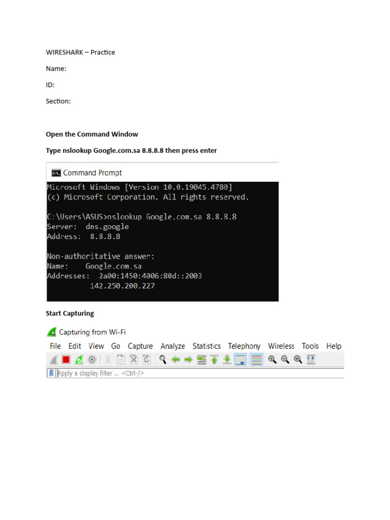 Wireshark ICMP Packet Analysis Guide | PDF