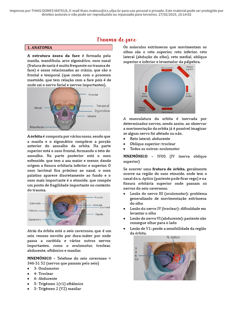 Trauma de Face: Causas e Tratamentos | PDF