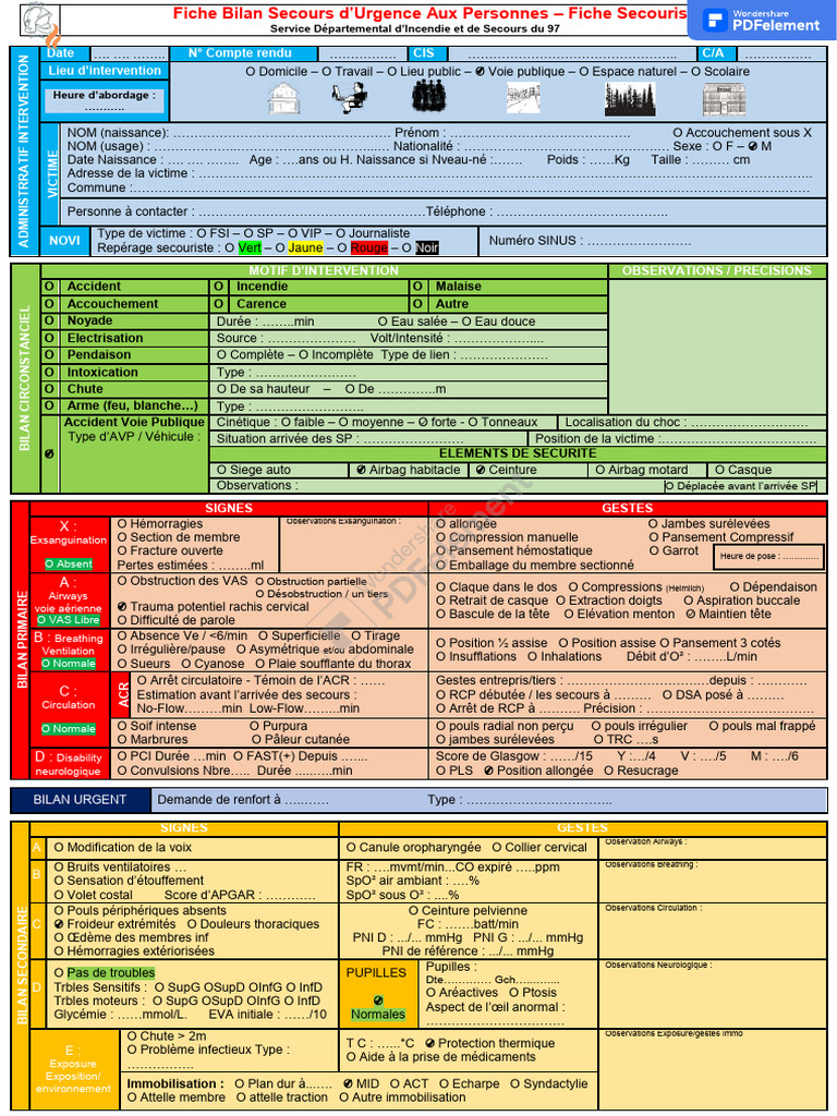 bilan-secours-d-urgence-aux-personnes-pdf-r-animation-cardio