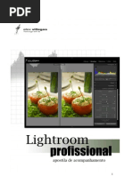 apostila Lightroom 2009