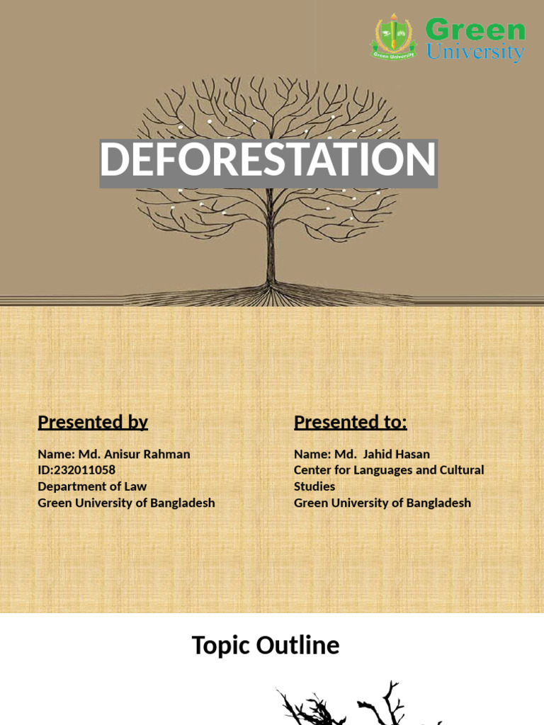 Understanding Deforestation: Causes and Solutions | PDF