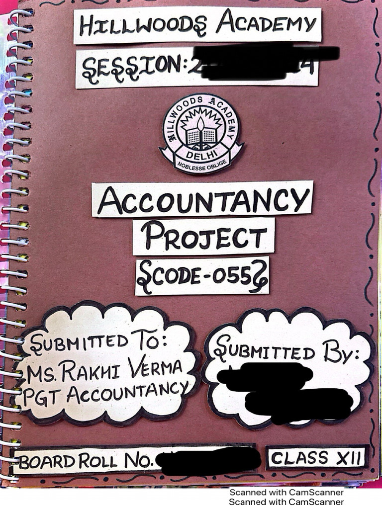 Accountancy Project | PDF