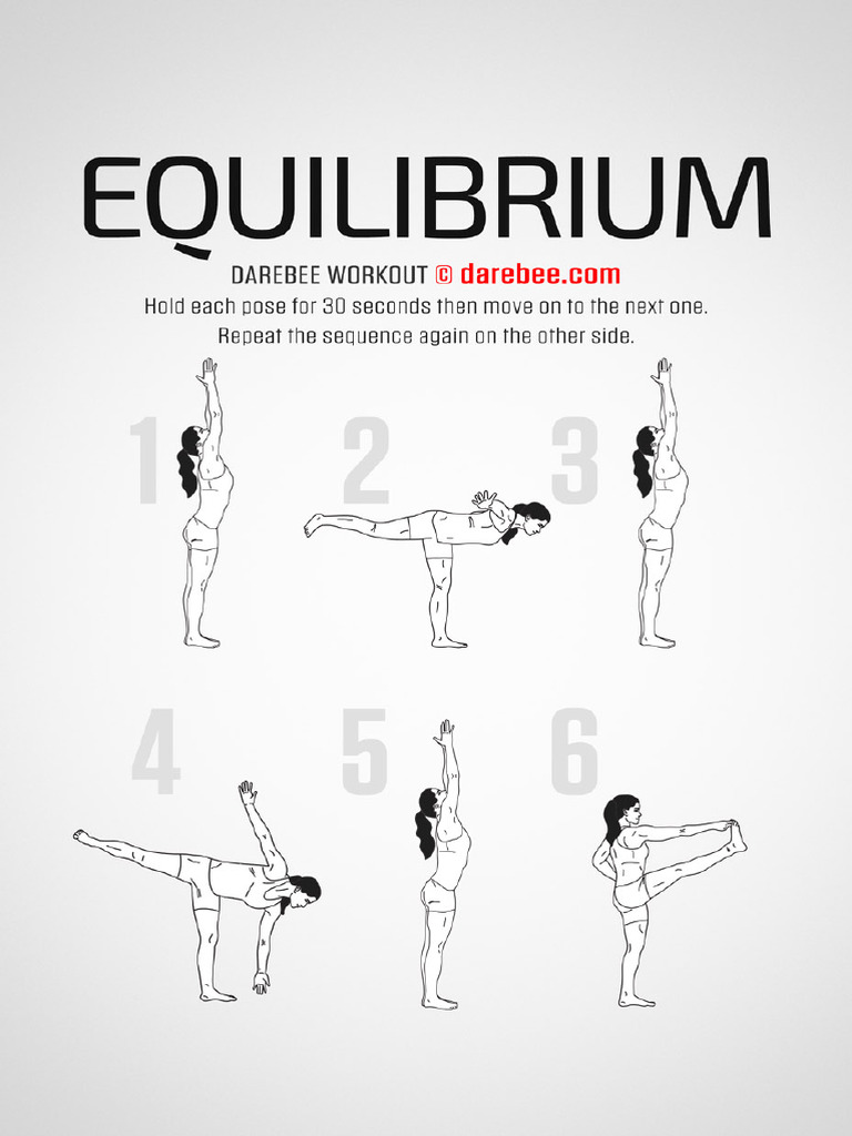 Equilibrium Workout | PDF