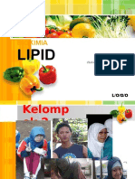 BIOKIMIAlipidkelompok 2