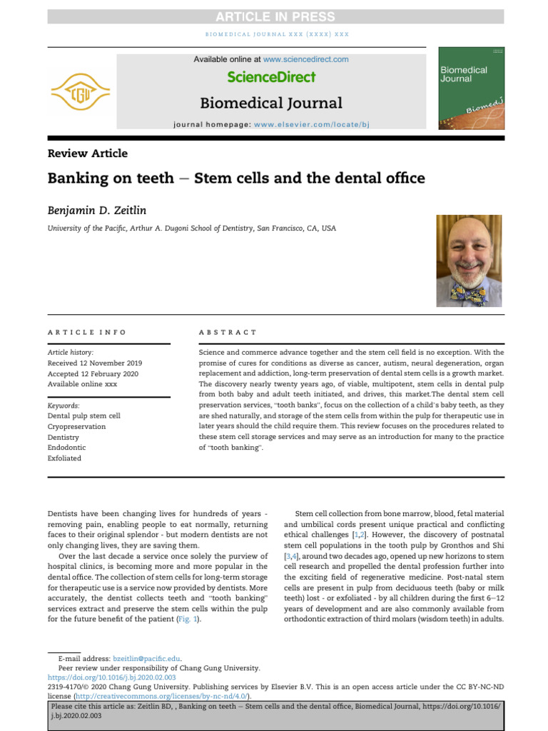 Banking On Teeth - Stem Cells and The Dental Offic | PDF | Cell Potency ...