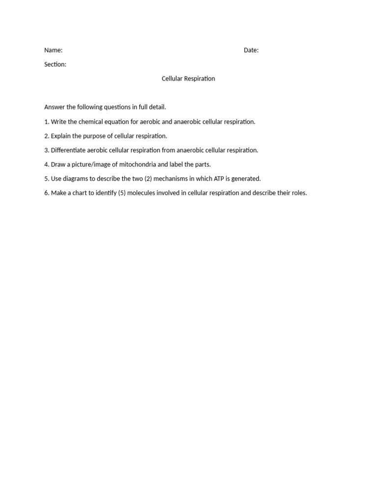 Cellular Respiration Explained: Key Concepts | PDF