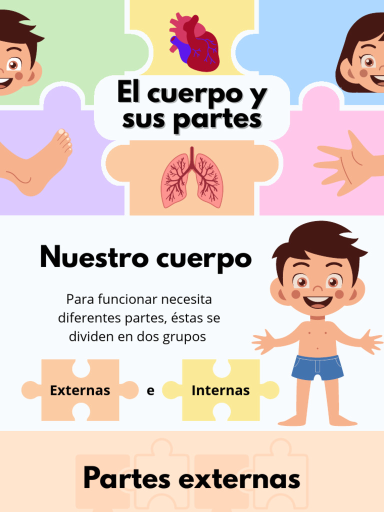 Partes del Cuerpo: Externas e Internas | PDF