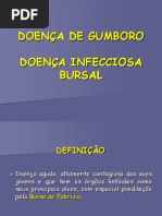 Download Doena de Gumboro by Rafael Villas Boas SN94902532 doc pdf