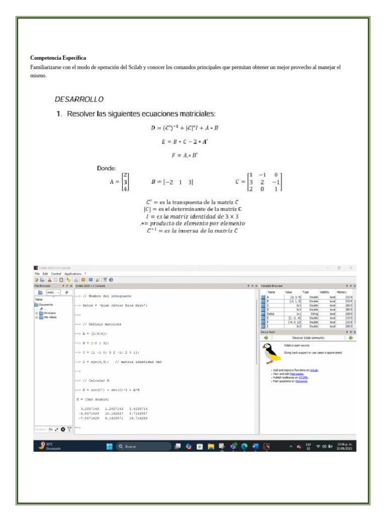 Practica 1 | PDF | Simulación | Matemáticas