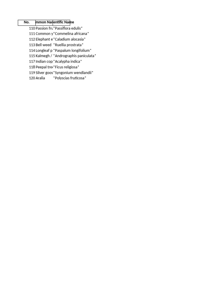 Plant List | PDF