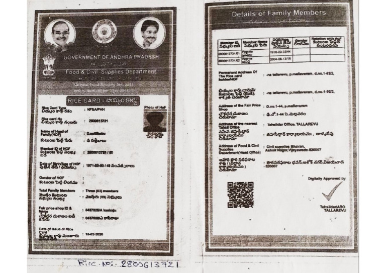 Kumar | PDF
