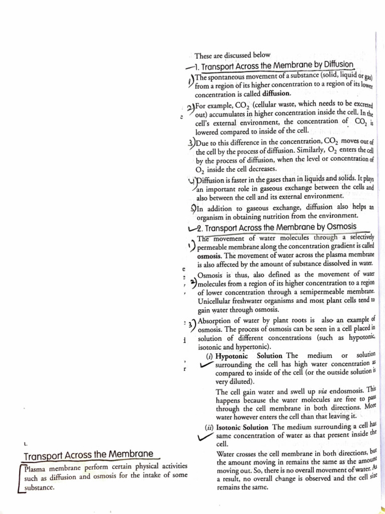 Membrane Transport: Diffusion & Osmosis | PDF | Cell (Biology) | Osmosis