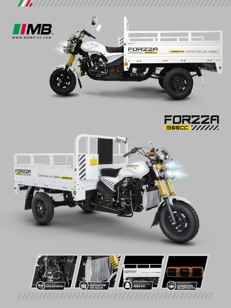 Motocarro Forzza 300 cc: Especificaciones Técnicas | PDF