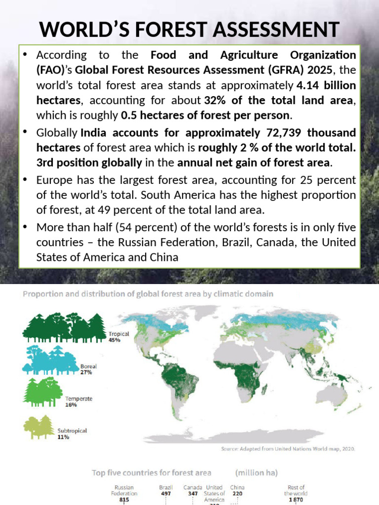 Global Forest Area Overview 2025 | PDF