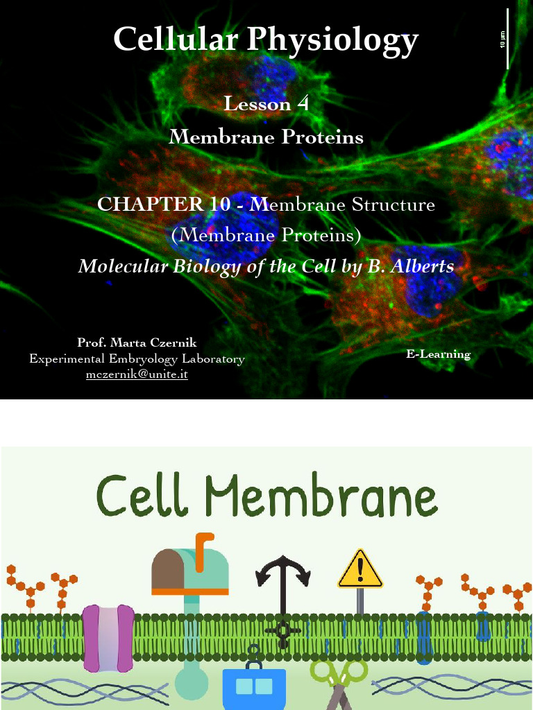 Membrane Proteins: Structure and Functions | PDF | Cell Membrane ...