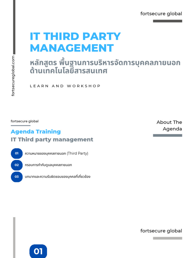 IT Third Party Management | PDF