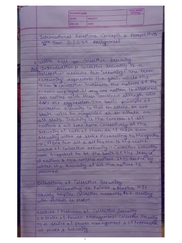 Political Assignment | PDF