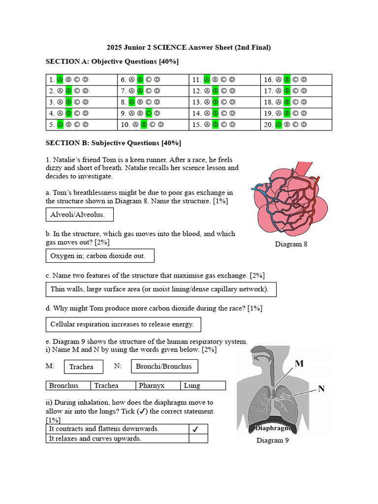 2025 Junior 2 Science Answer Sheet | PDF | Photosynthesis | Fires