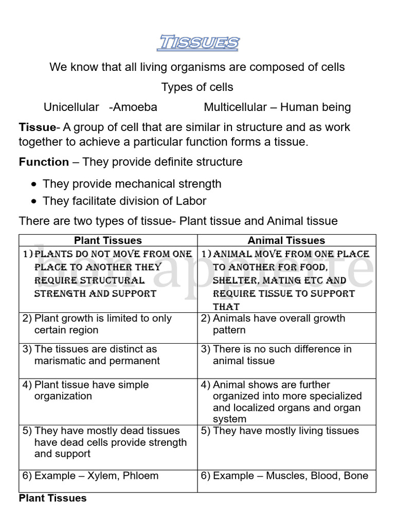 Types of Plant and Animal Tissues | PDF | Epithelium | Tissue (Biology)
