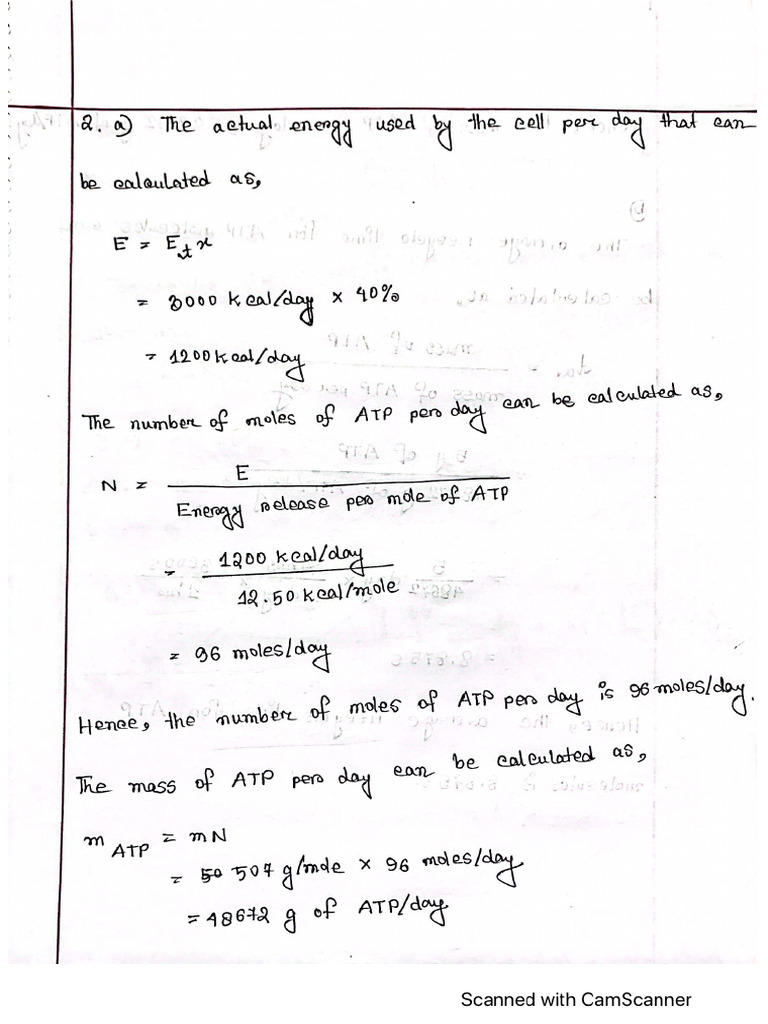 Problems (Chapter 2) | PDF