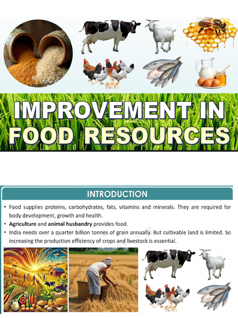 Food Resources | PDF