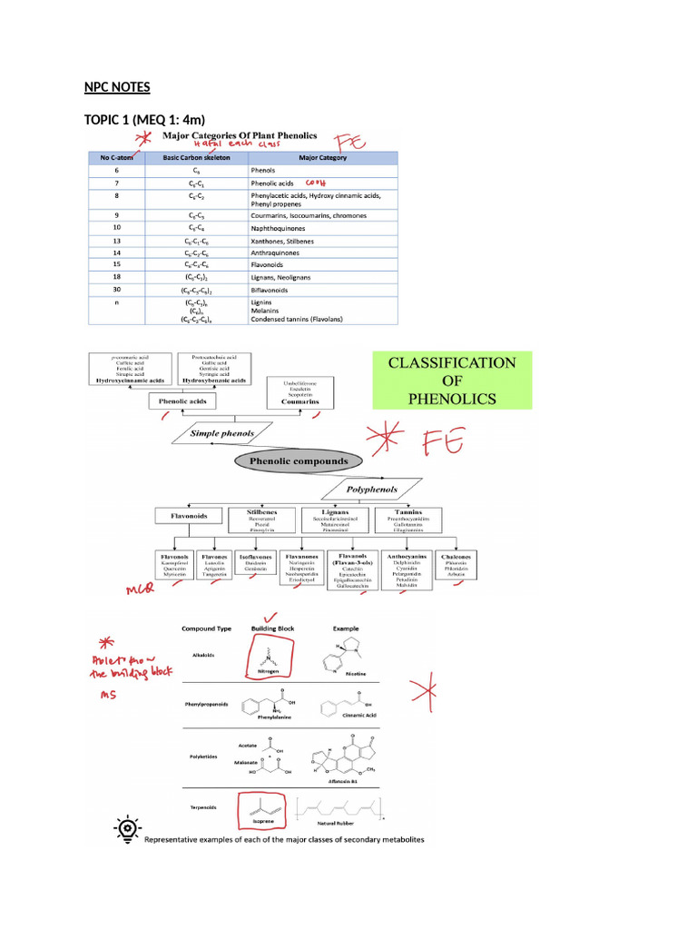 NPC Notes on Metabolic Pathways | PDF