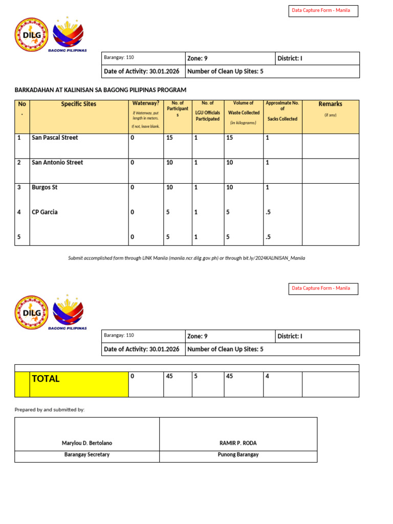 Manila Clean Up Data Capture Form | PDF