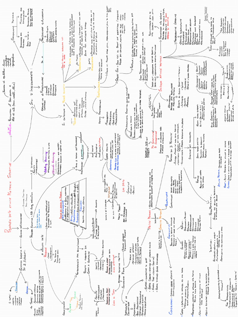 Mappa Concettuale | PDF