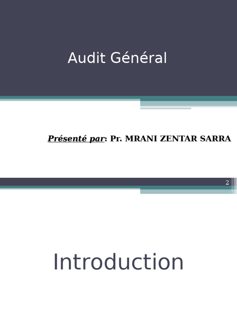 Cours Audit Et Controle Interne VIP | PDF | Audit | Contrôle interne