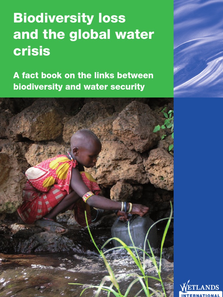 Biodiversity and Water Security Crisis | PDF | Water Scarcity | Wetland