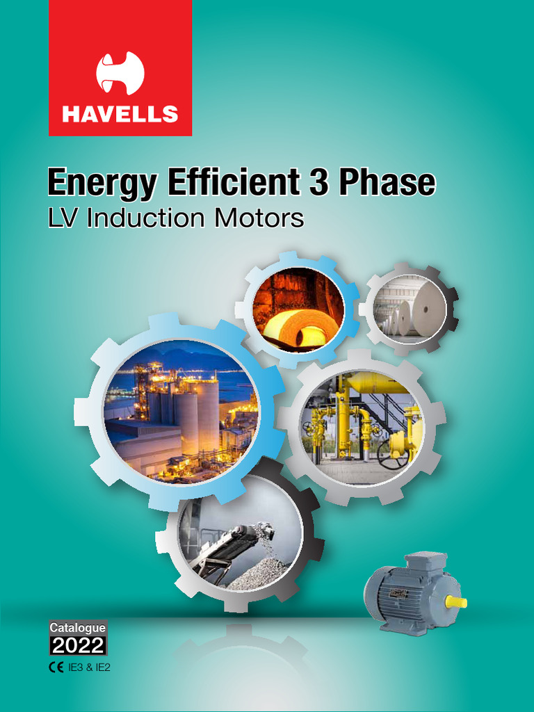Energy Efficient LV Induction Motors | PDF | Electric Motor | Mains ...