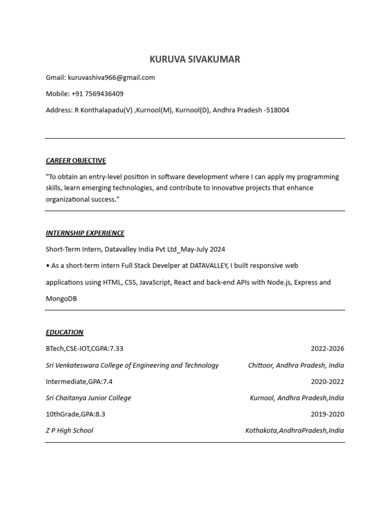 Entry-Level Software Developer Resume | PDF