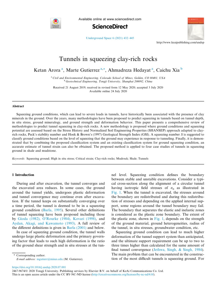 Arora (2021) - Tunnels in Squeezing Clay-Rich Rocks | PDF | Deformation ...