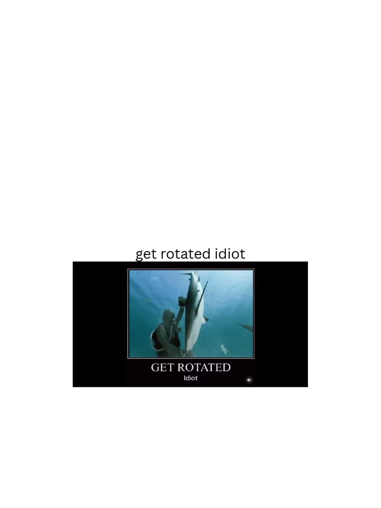 Get Rotated Idiot | PDF