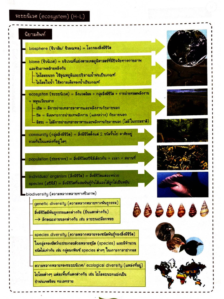 Biom | PDF
