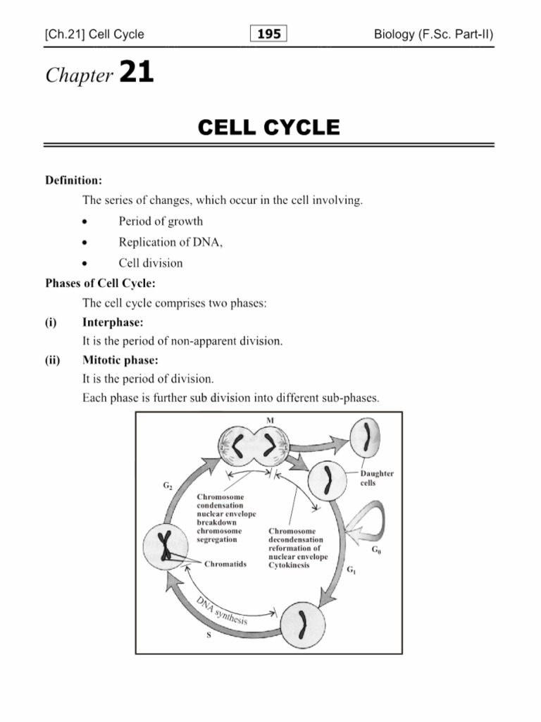 Chapter 21 Biology Notes 12th Class Long | PDF