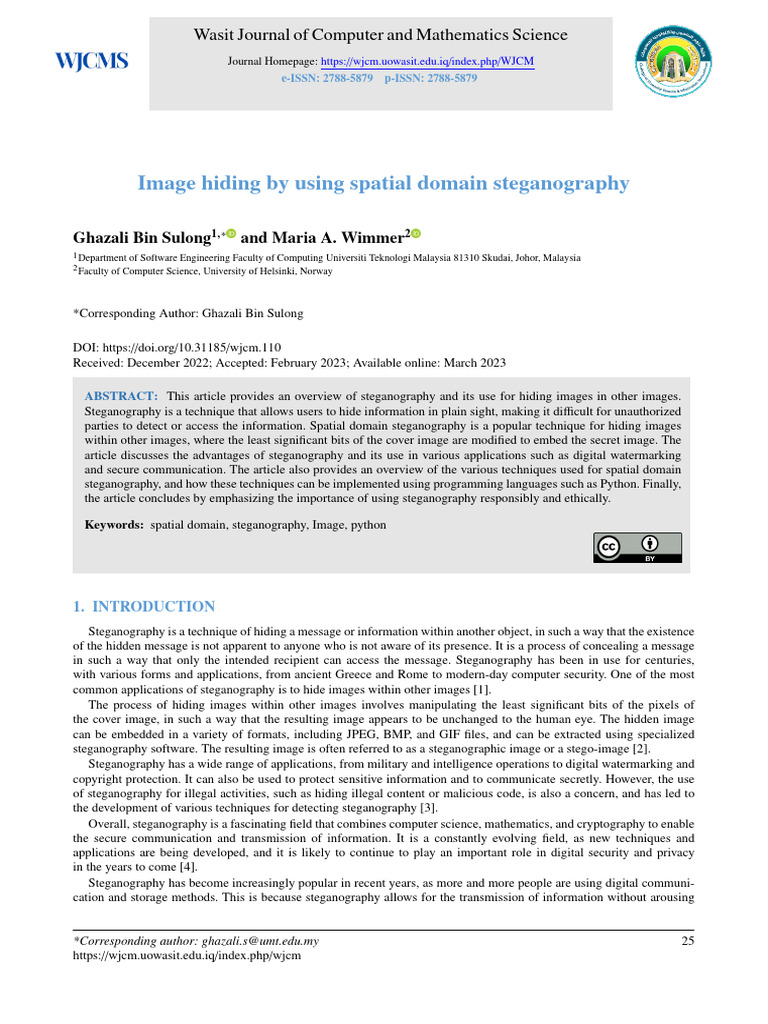 Image Hiding via Spatial Steganography | PDF | Computer Engineering ...