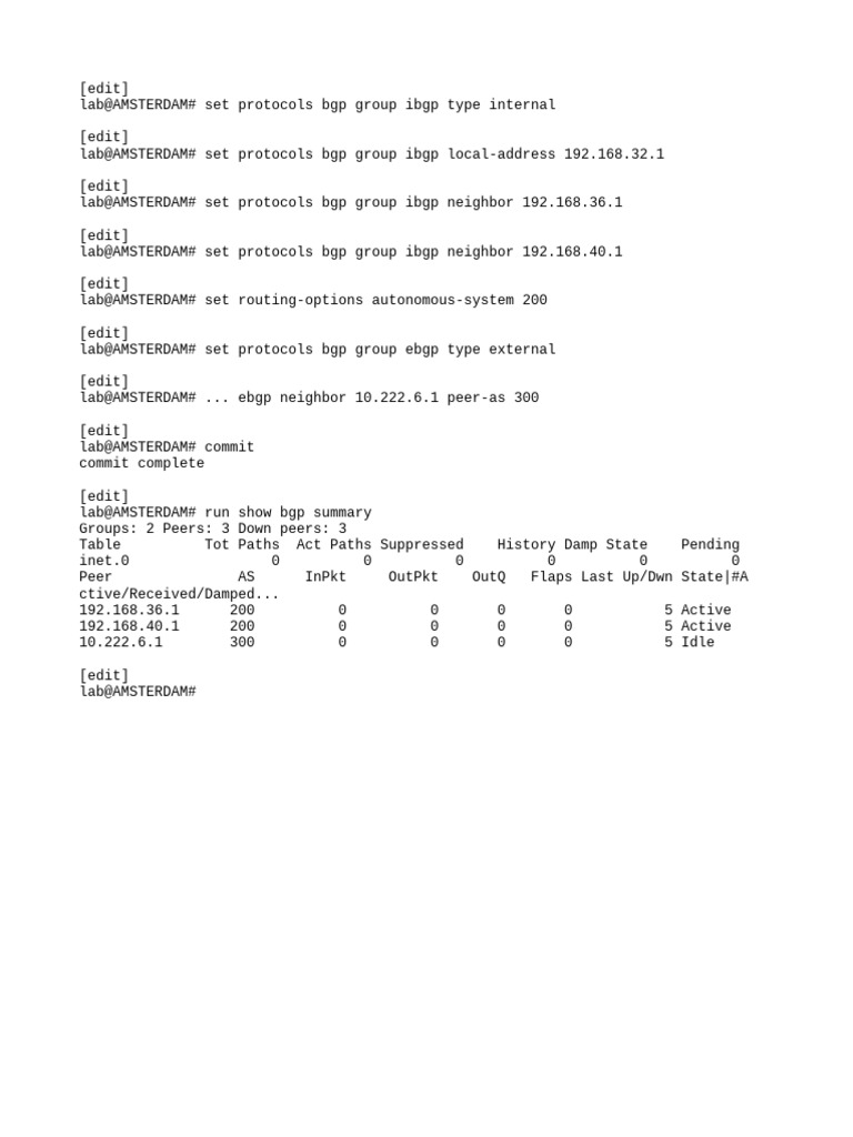 BGP Configuration Guide for Amsterdam Lab | PDF