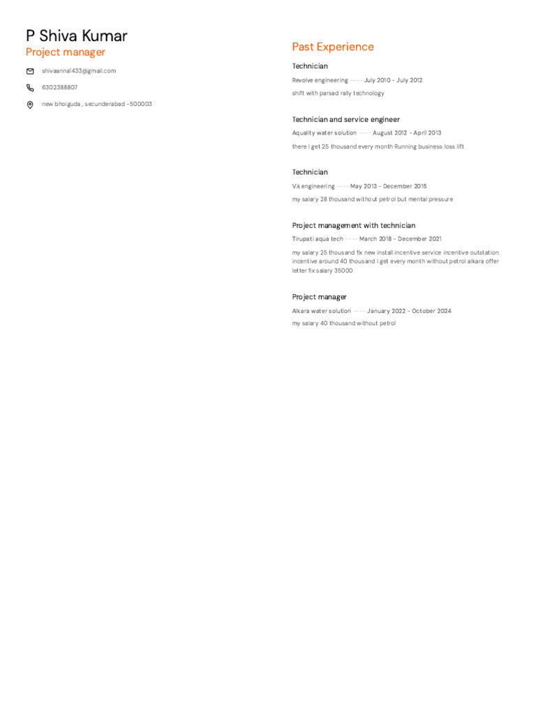 Project Manager Resume Overview | PDF