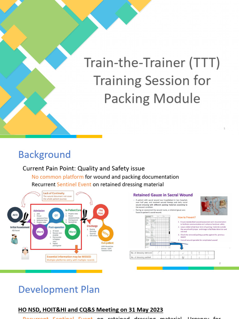 Train-the-Trainer (TTT) Training Session For Packing | PDF | Health Care