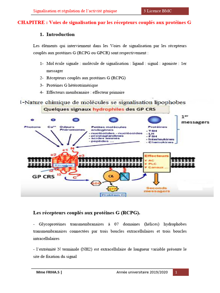 Voies de signalisation des RCPG | PDF | Biologie structurale | Biologie ...