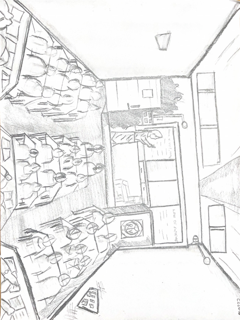 Objective Drawing 5 | PDF