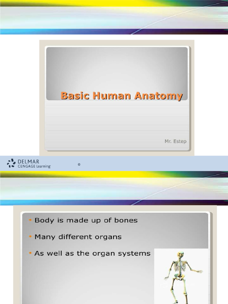 Medical Terminology 1C 28 50 (1) | PDF