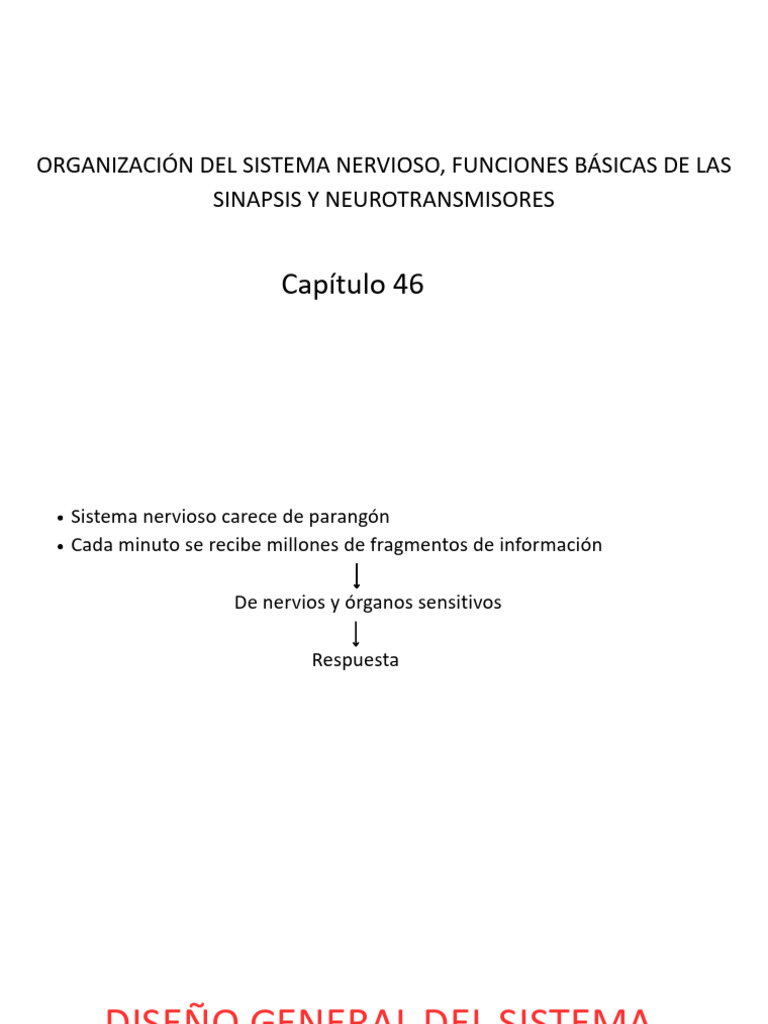 Funciones del Sistema Nervioso y Sinapsis | PDF | Sinapsis | Neurona