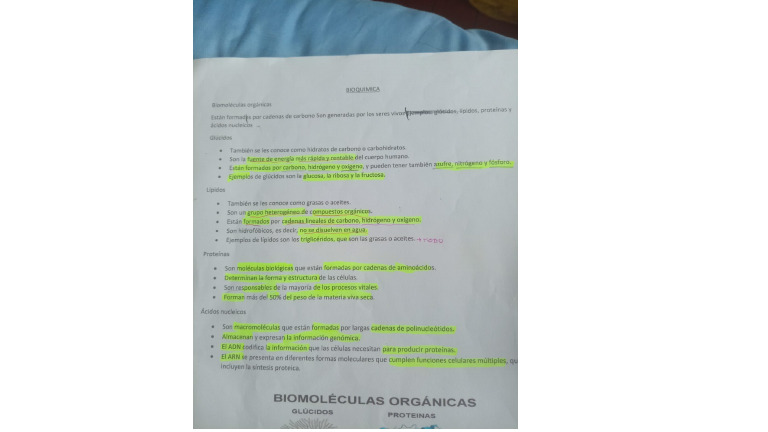 Bio | PDF