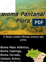 Flora do Pantanal Brasileiro