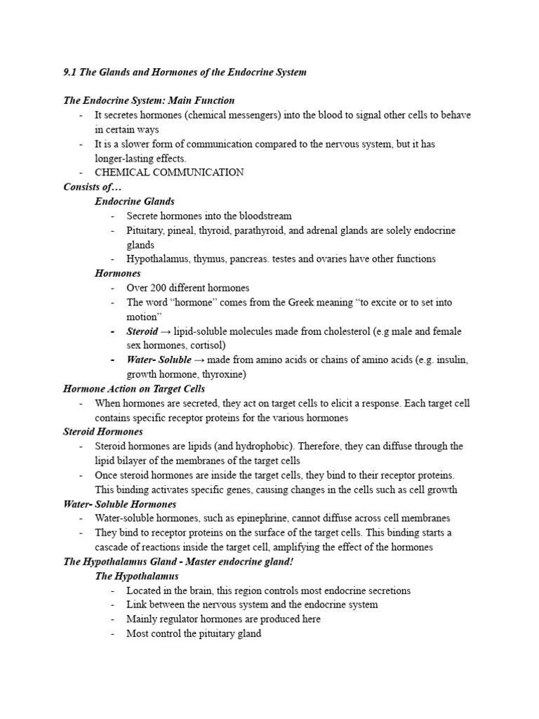 Chapter 9 Homeostasis Quiz Review | PDF | Menstrual Cycle | Luteinizing ...